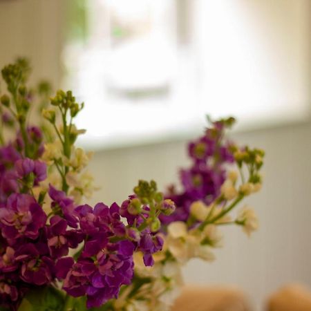 The Potting Shed, 5* Luxury Escape Cirencester Esterno foto